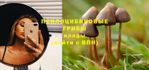 гидропоника Богородицк