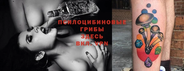 a pvp Богородск