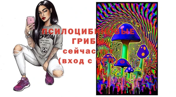 a pvp Богородск