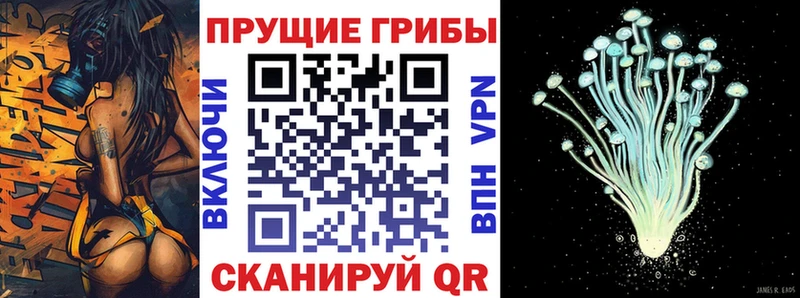 Галлюциногенные грибы Cubensis  Чекалин 